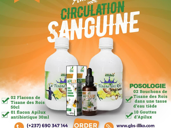 TISANE DES ROIS+APILUX : DUO POUR AMELIORER VOTRE CIRCULATION SANGUINE