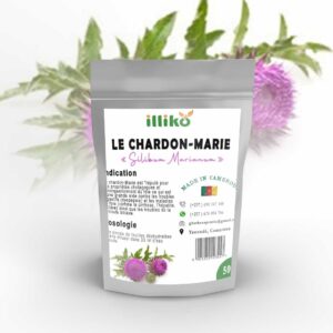 Le chardon-marie