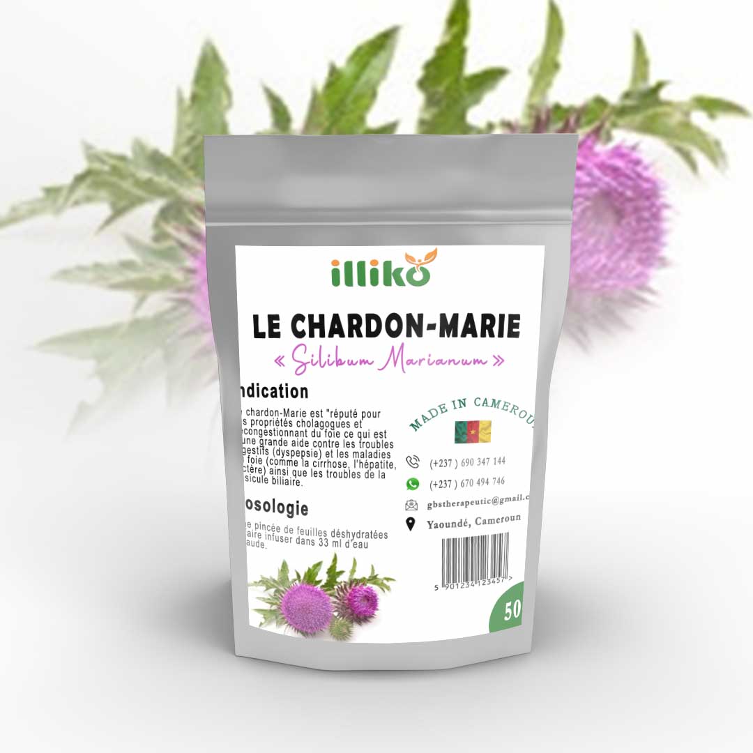 Le chardon-marie