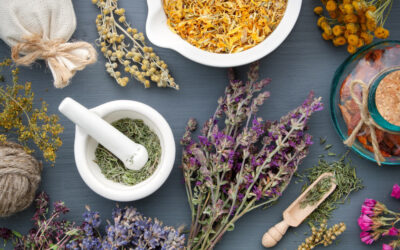 Pourquoi utiliser les plantes pour sa santé?