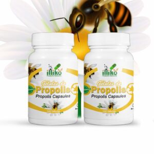 Gélules de Propolis