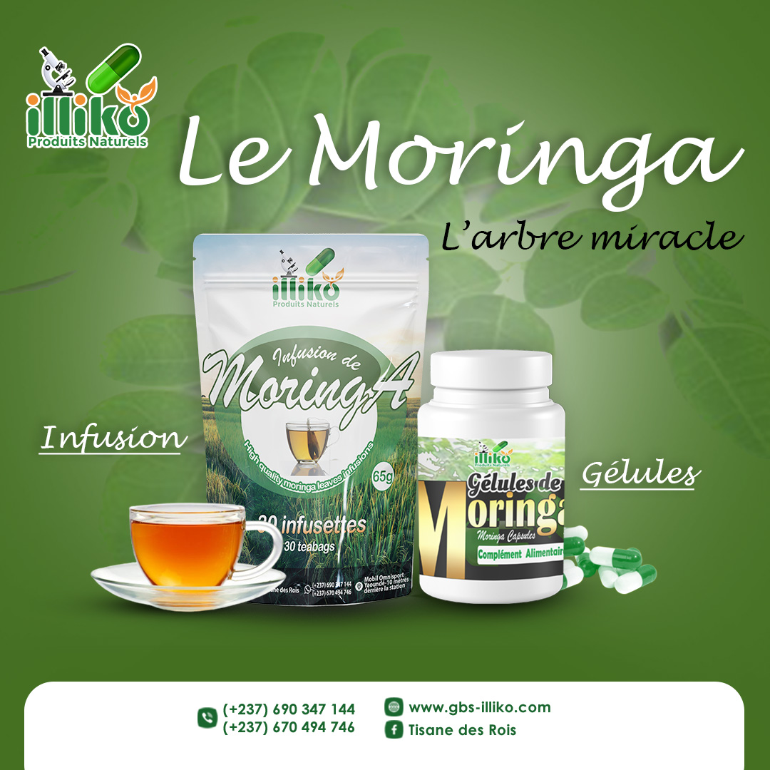 Moringa (infusion et gélules)