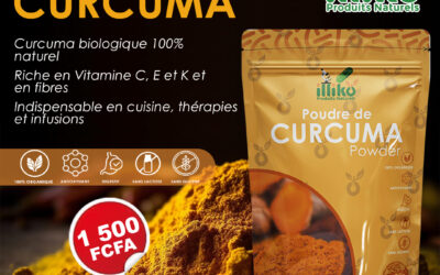Le Curcuma : Une plante aux Multiples Vertus